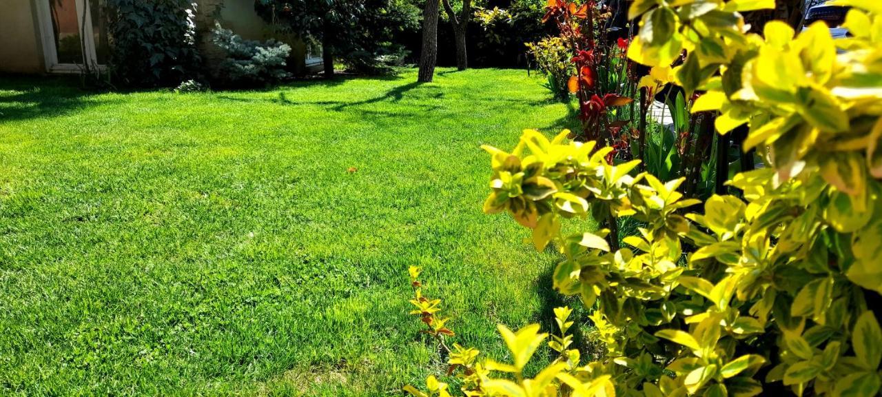 Green Garden 트빌리시 외부 사진